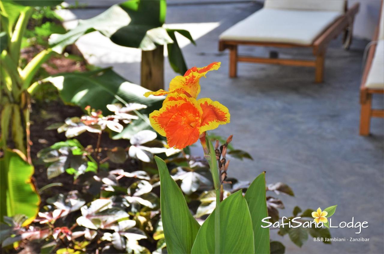גאמביאני Safisana Lodge מראה חיצוני תמונה